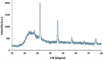 Silica Nanoparticle Acute Toxicity on Male Rattus norvegicus Domestica: Ethological Behavior, Hematological Disorders, Biochemical Analyses, Hepato-Renal Function, and Antioxidant-Immune Response